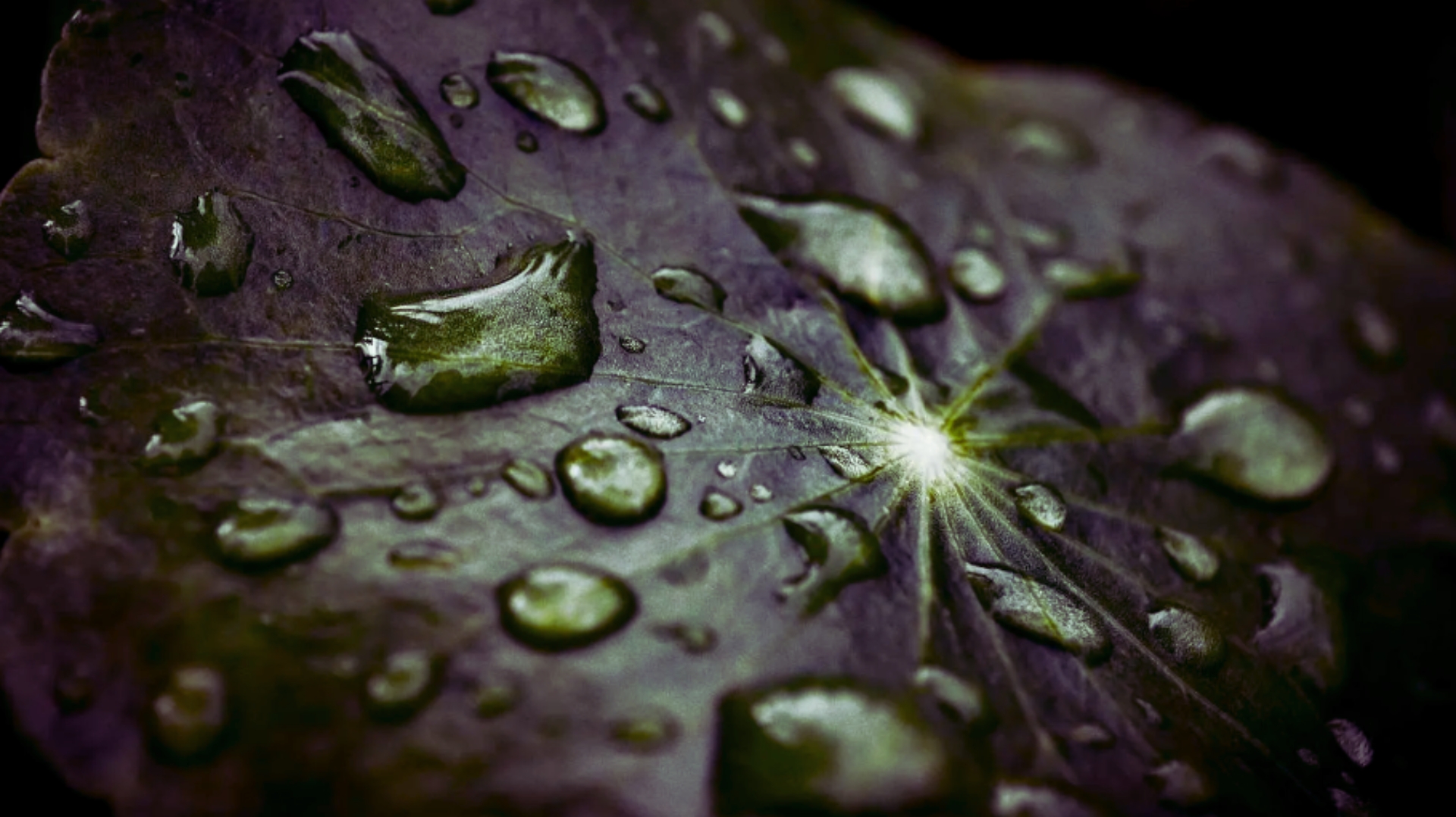 image portfolio page website francescaollin emh guarigione emotiva sessioni individuali