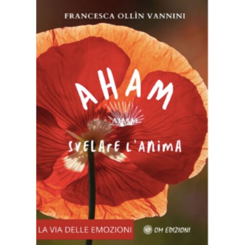 libro pubblicazione di francesca ollin vannini aham svelare l'anima