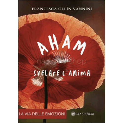 libro pubblicazione di francesca ollin vannini aham svelare l'anima