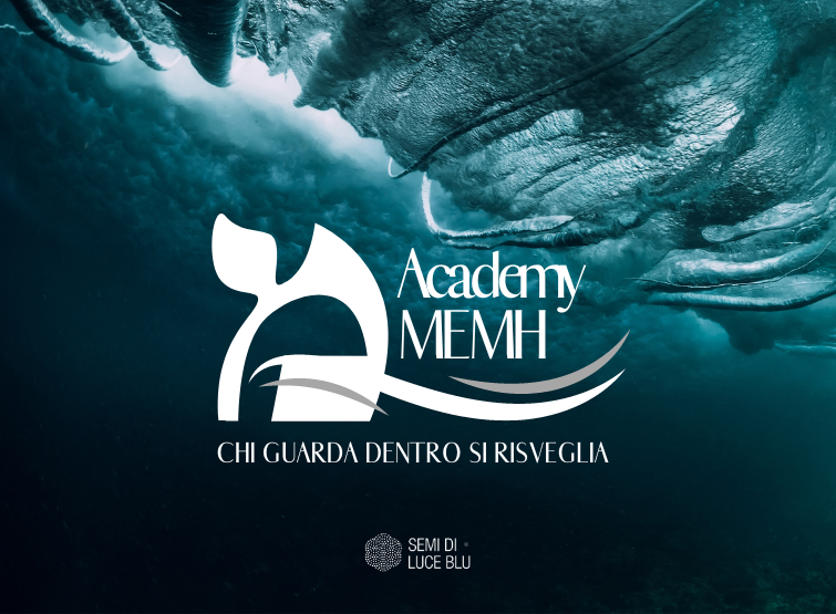MEMH Academy