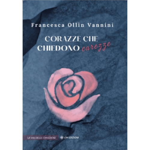 copertina libro di francesca ollin vannini corazze che chiedono carezze